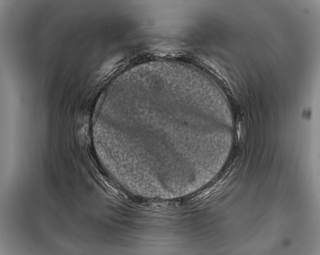 X0000099431396200805301419