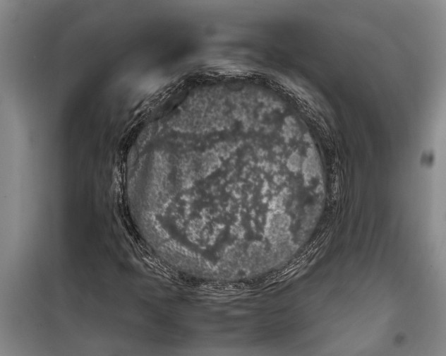 X0000099431397200805301419