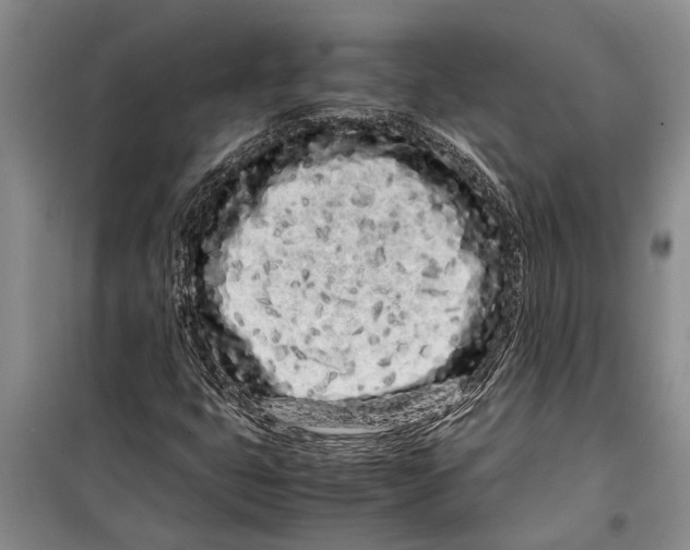 X0000099431399200805301419