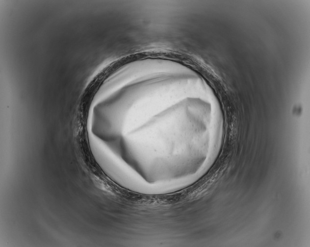X0000099431400200805301419