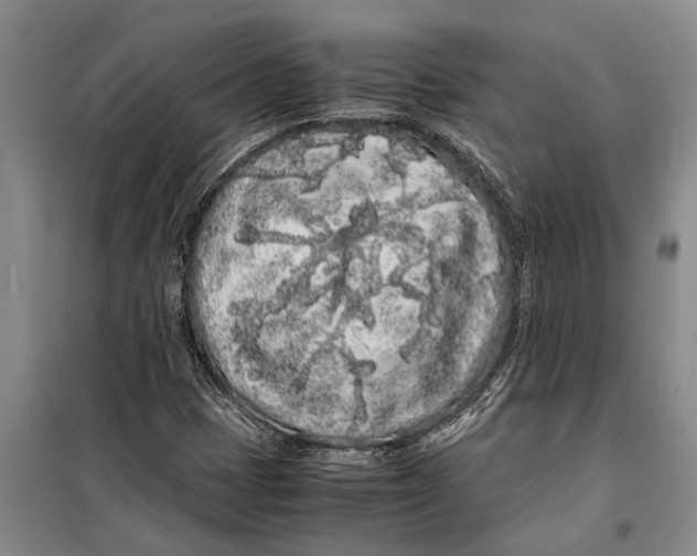 X0000099431401200805301419