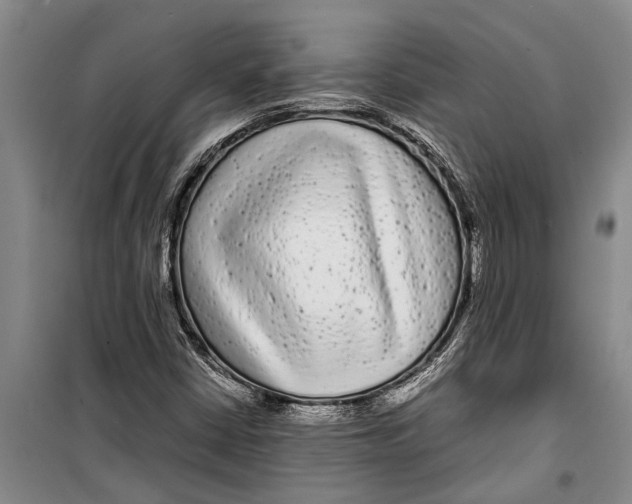X0000099431402200805301419