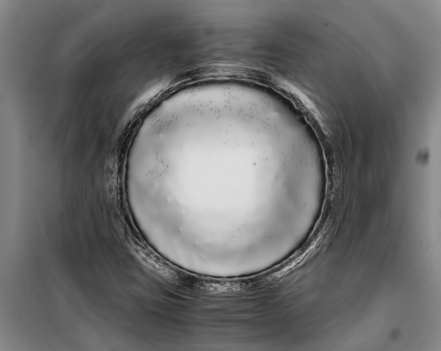 X0000099431403200805301419