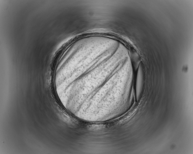 X0000099431406200805301419