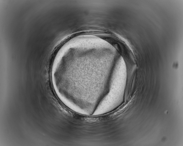 X0000099431407200805301419
