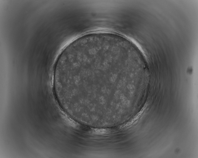X0000099431413200805301419