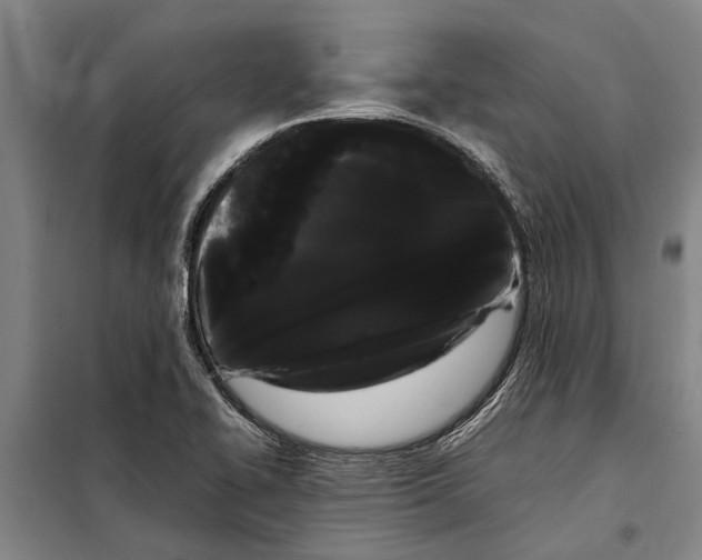 X0000099431414200805301419