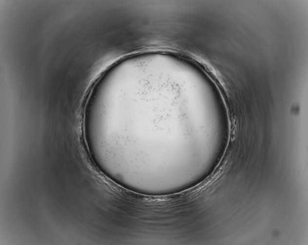 X0000099431415200805301419