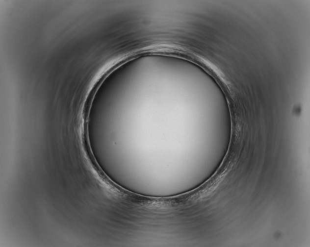 X0000099431418200805301419