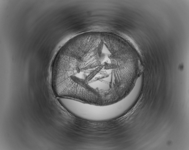 X0000099431419200805301419