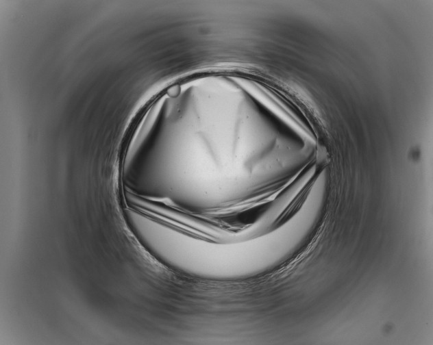 X0000099431420200805301419
