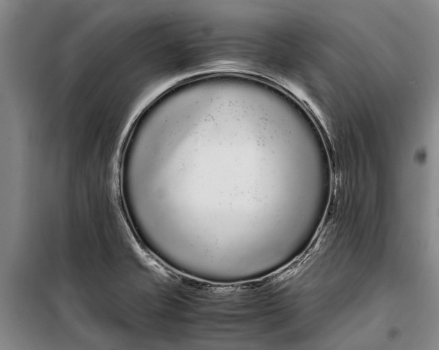 X0000099431421200805301419