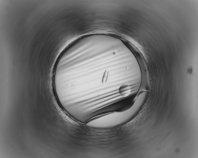 X0000099431423200805301419