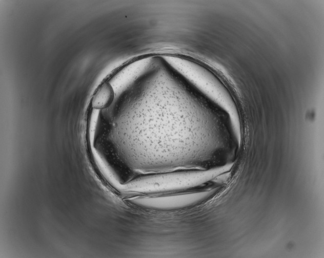 X0000099431424200805301419