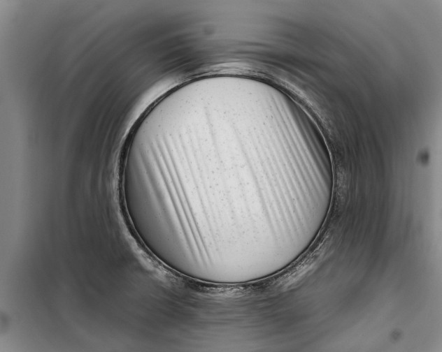 X0000099431426200805301419