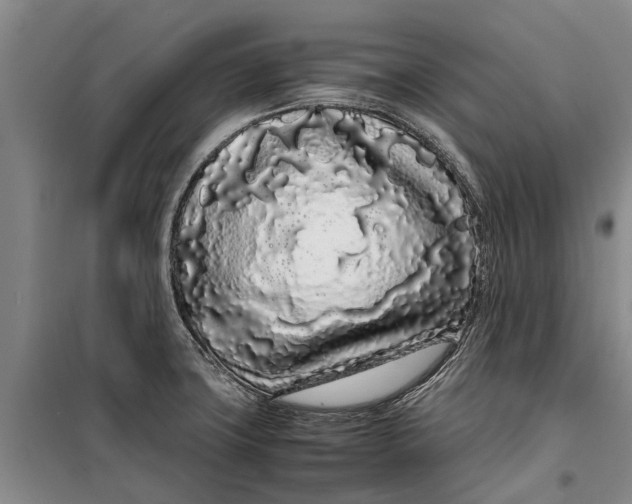 X0000099431427200805301419
