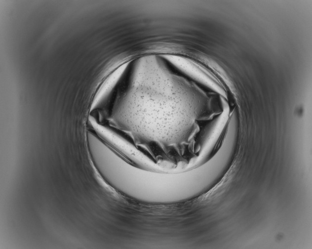 X0000099431433200805301419