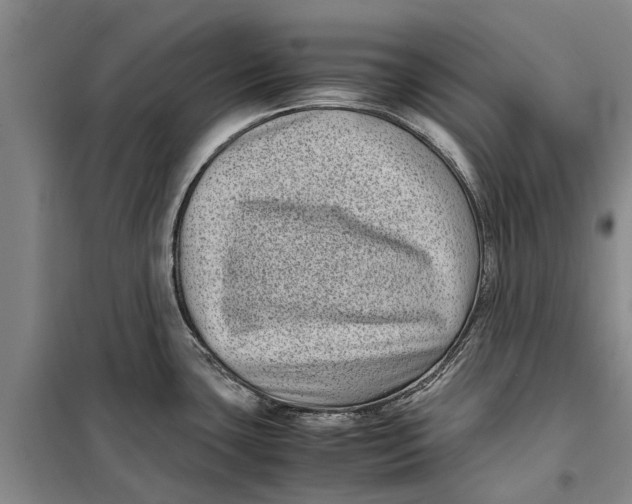 X0000099431435200805301419