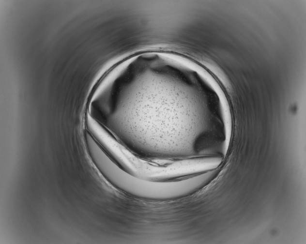 X0000099431436200805301419