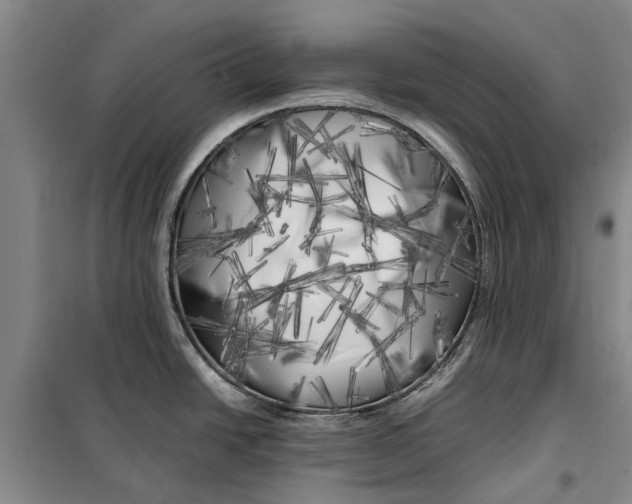 X0000099431438200805301419