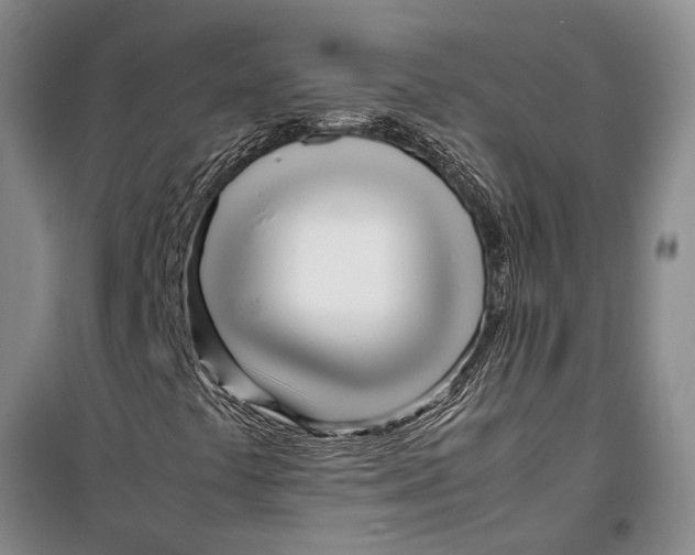 X0000099431441200805301418