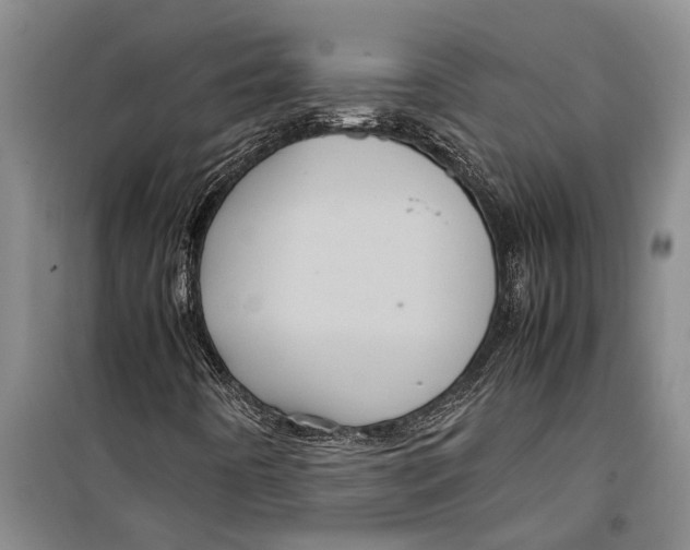 X0000099431442200805301418