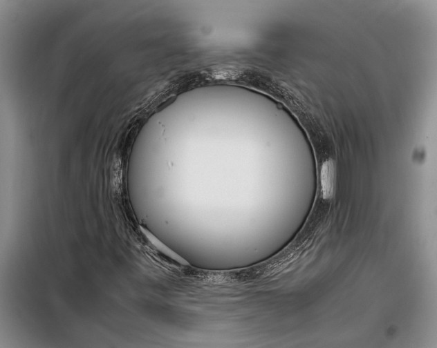 X0000099431443200805301418