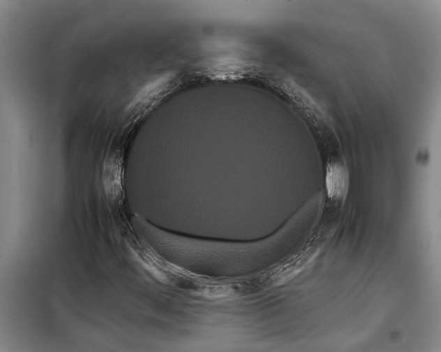 X0000099431444200805301418