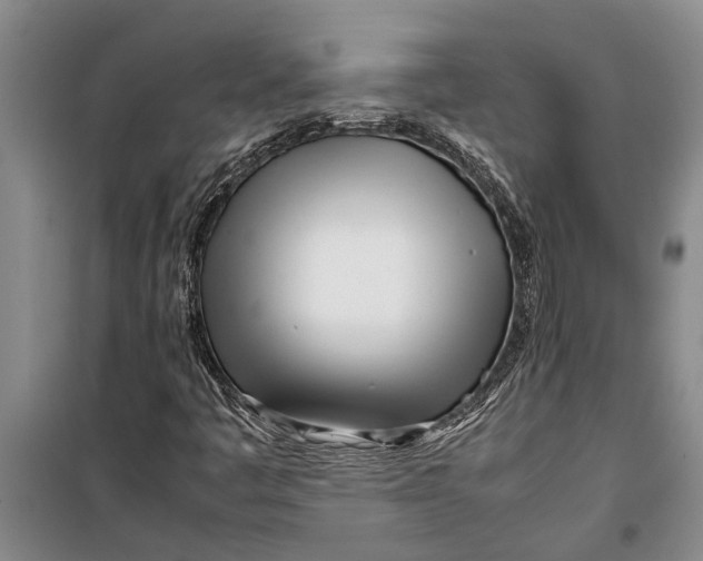 X0000099431445200805301418