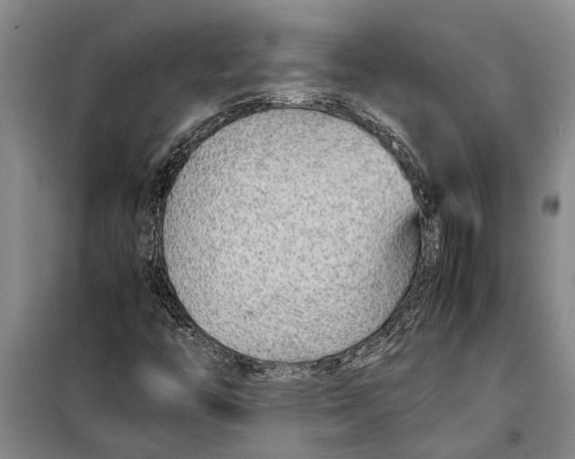 X0000099431446200805301418