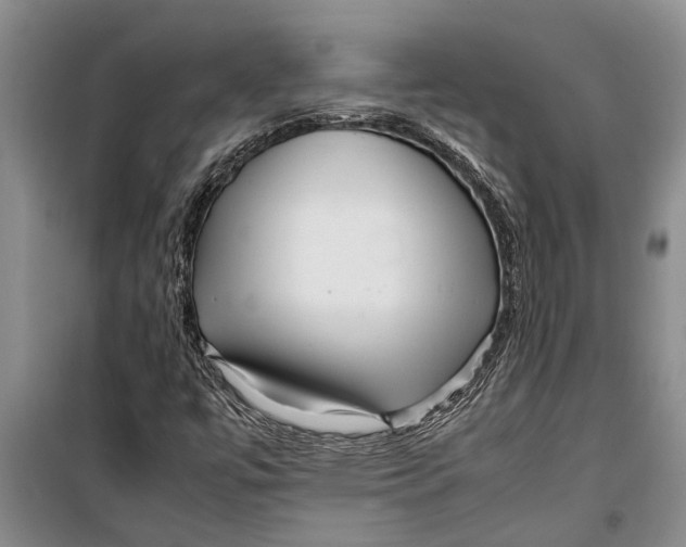 X0000099431447200805301418