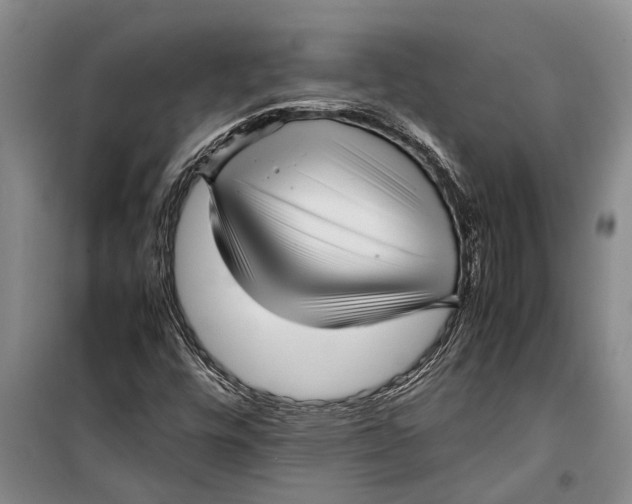 X0000099431448200805301418