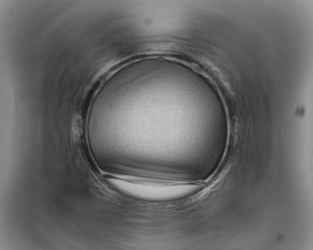 X0000099431449200805301418