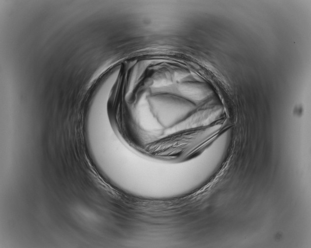 X0000099431450200805301418