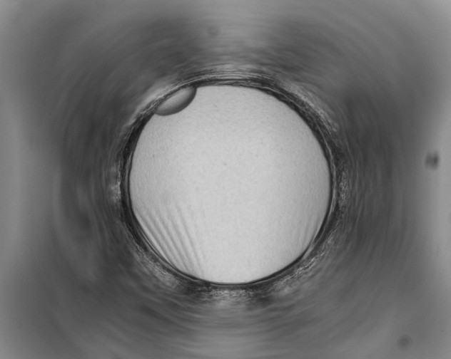 X0000099431451200805301418