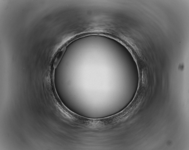 X0000099431452200805301418