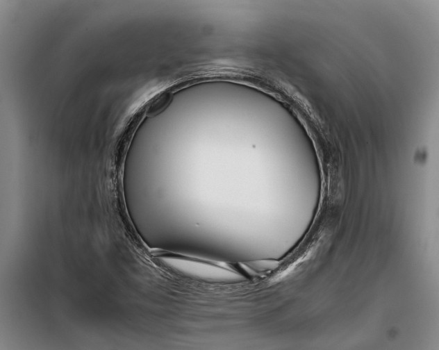 X0000099431453200805301418