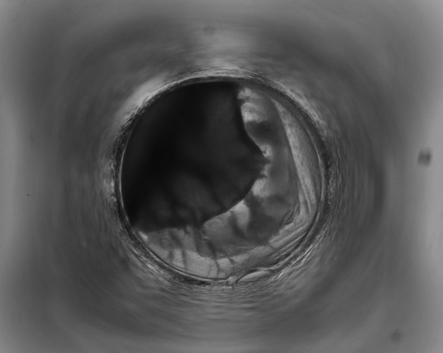 X0000099431455200805301418