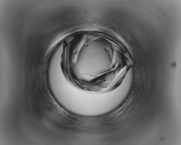 X0000099431456200805301418