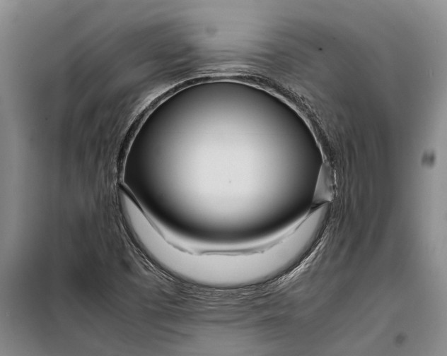 X0000099431457200805301418