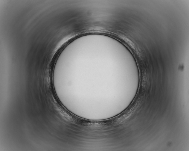 X0000099431458200805301418