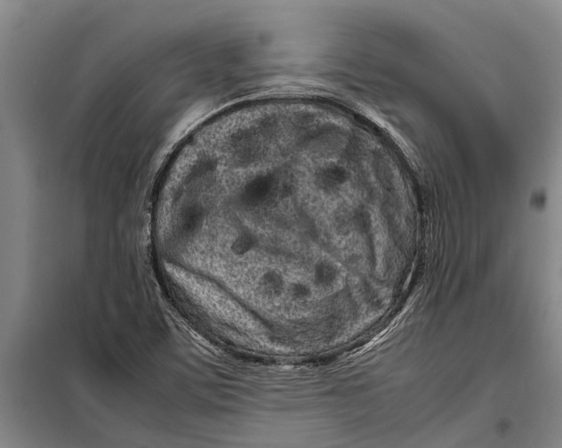 X0000099431459200805301418