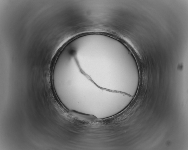 X0000099431460200805301418