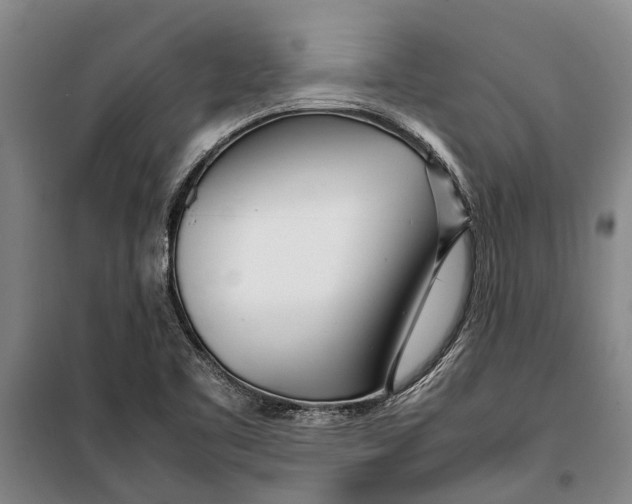 X0000099431461200805301418