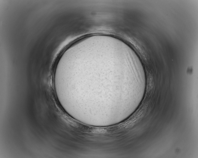 X0000099431462200805301418