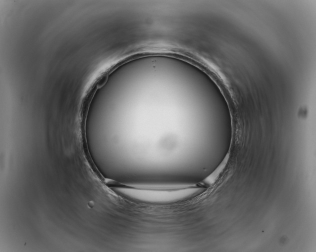 X0000099431464200805301418
