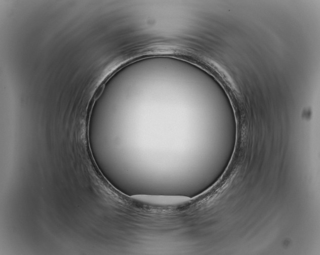 X0000099431465200805301418