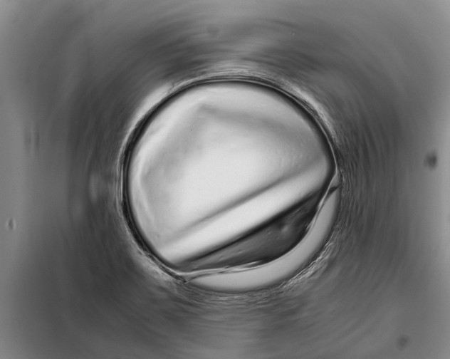 X0000099431467200805301418