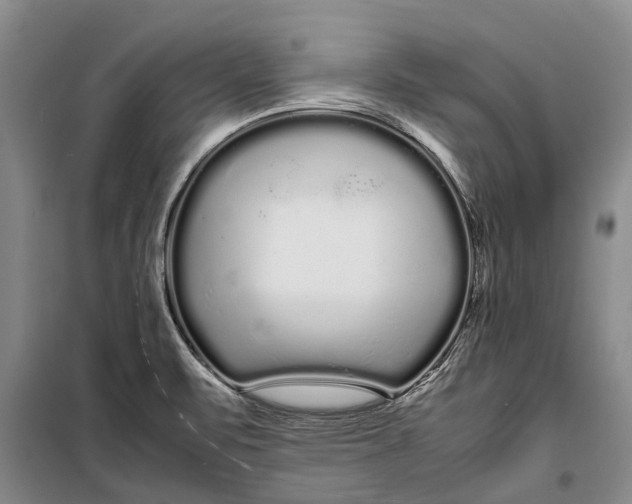 X0000099431471200805301418