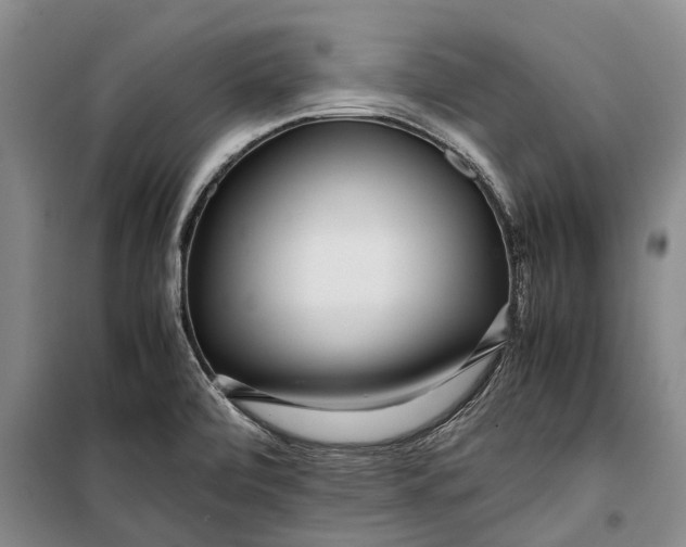 X0000099431472200805301418